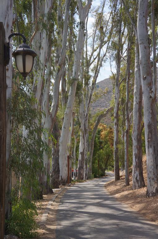 ホテルBandy Canyon Ranch エスコンディド エクステリア 写真