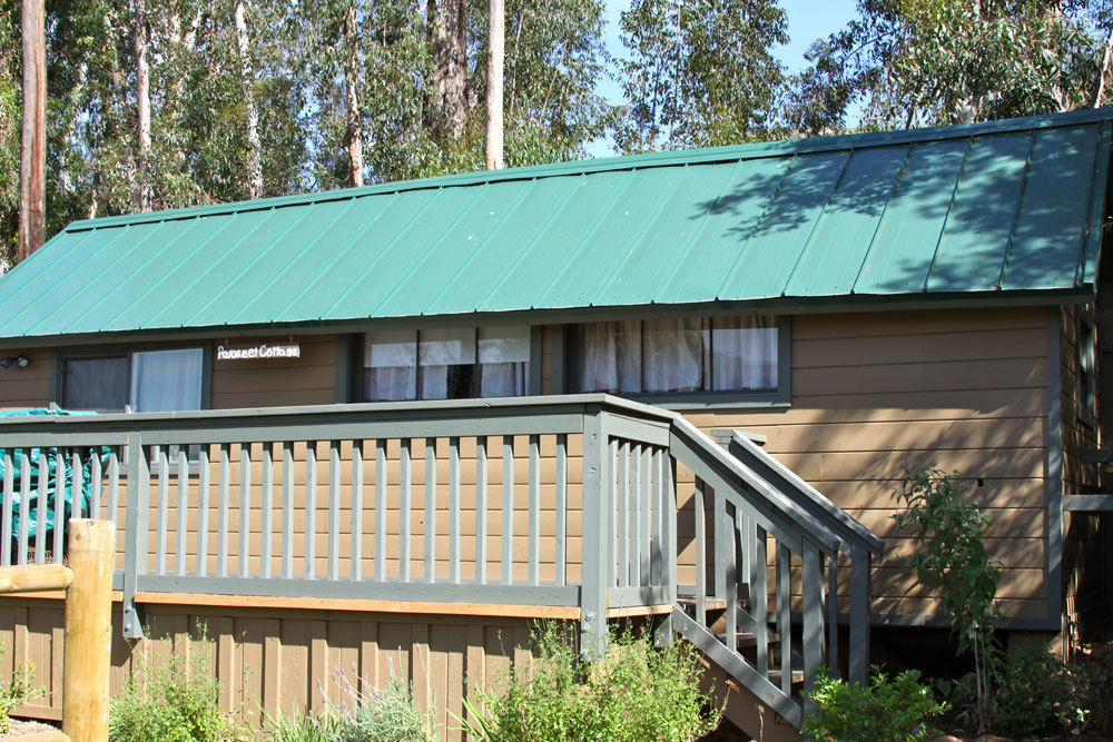 ホテルBandy Canyon Ranch エスコンディド エクステリア 写真